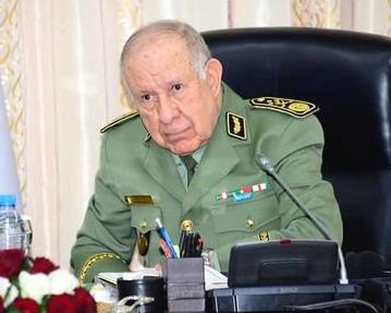 من هو محرز جريبي ويكيبيديا السيرة الذاتية
