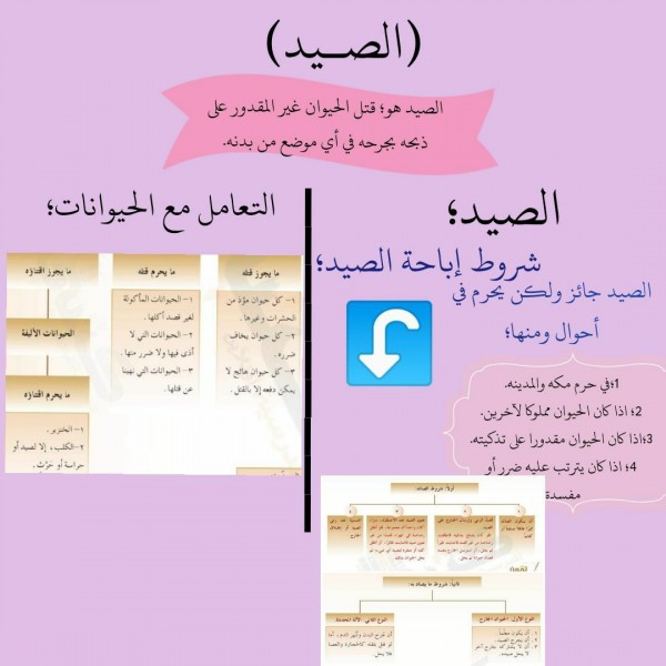 مهام الصيد فقه ثالث متوسط