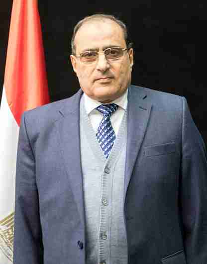 من هو امير سيد ويكيبيديا السيرة الذاتية